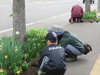 月寒公園植花1