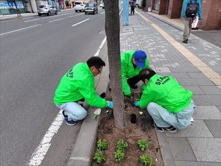 秋津道路植花1