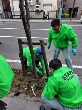 秋津道路植花2