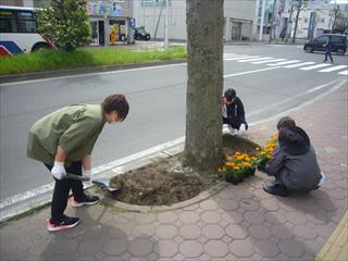第一生命植花