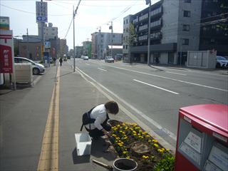 札幌平岸3条郵便局植花1