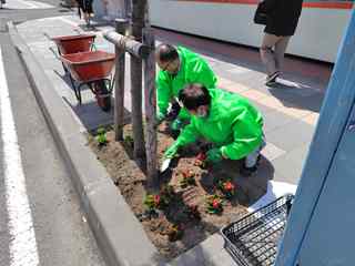 秋津道路植花2026年5月23日