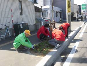 豊平郵便局の植花活動2