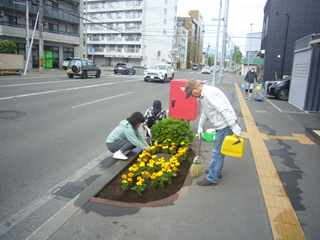 平岸三条郵便局植花2026年5月30日2