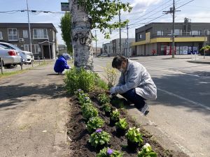 札幌白樺郵便局の植花活動1