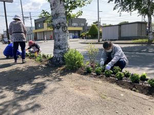 札幌白樺郵便局の植花活動2