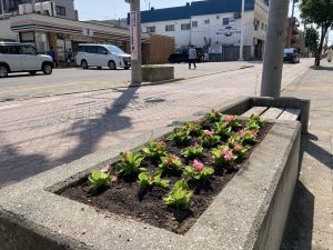 月寒郵便局の植花活動1