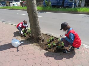 第一生命保険の植花活動2