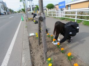 札幌大学の植花活動1