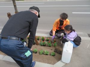 平岸五条郵便局の植花活動1