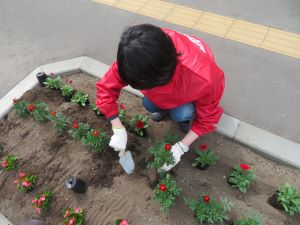 平岸五条郵便局の植花活動2