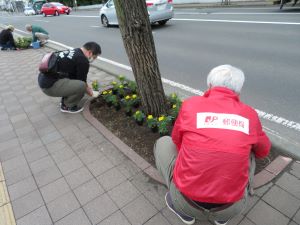 平岸六条郵便局の植花活動1