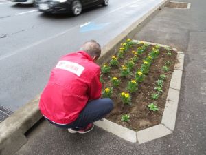 豊平六郵便局の植花活動1