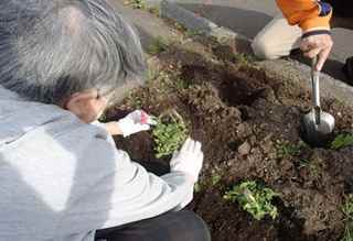 ノテ福祉会西岡植花2026年5月31日