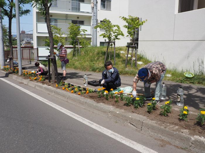 活動の様子
