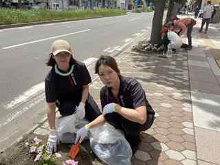 ルネサンス札幌平岸植花2026年6月3日