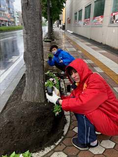 ルネサンス植花1