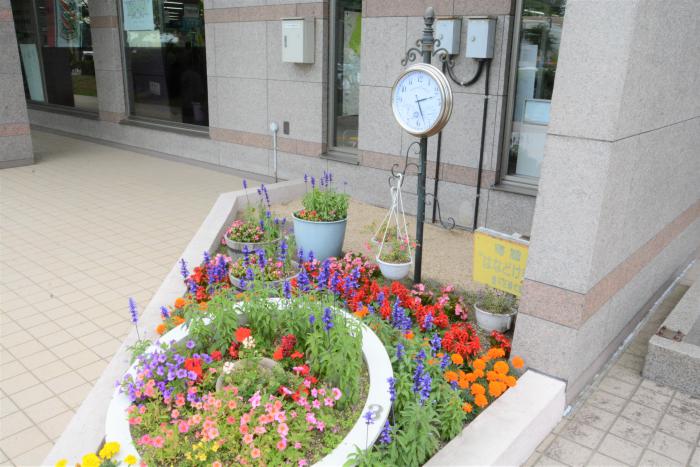 花植え後の花壇の様子2