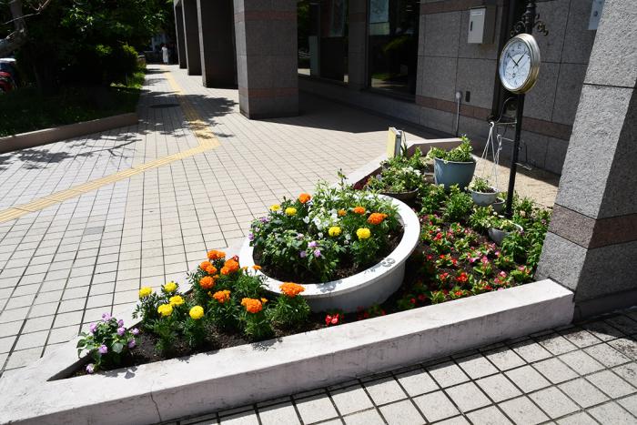 花植え後の花壇