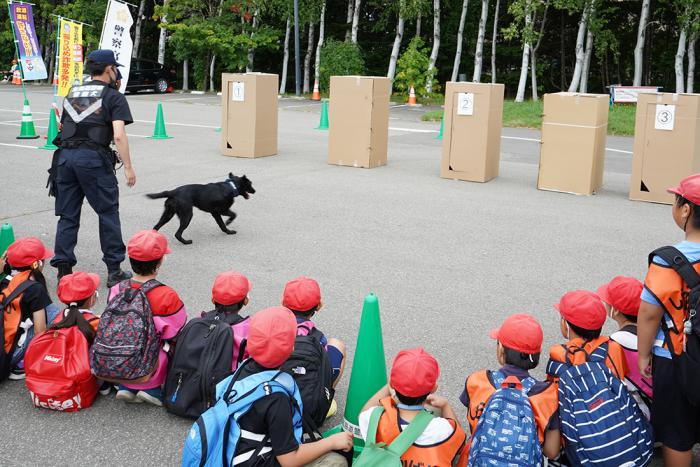 災害救助犬による訓練の様子
