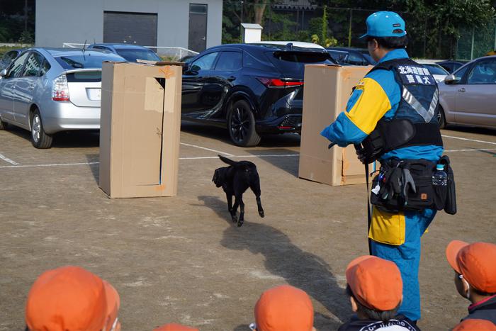 災害救助犬とかくれんぼの様子