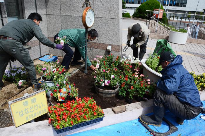 花植えの様子1
