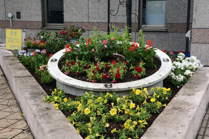 完成後の花壇