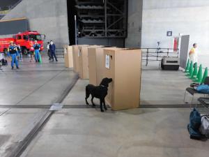 災害救助犬