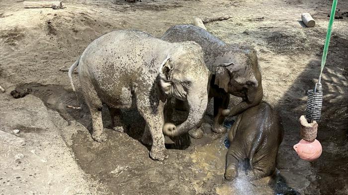 ホースリール使用中1