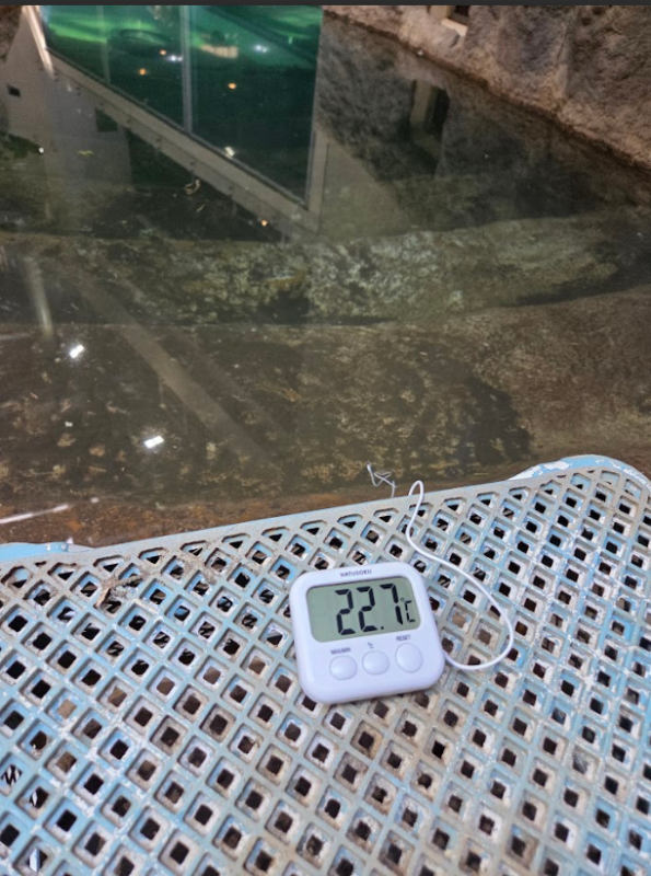 ゾウ舎の屋内プールの水温管理用にご寄付いただいた水温計