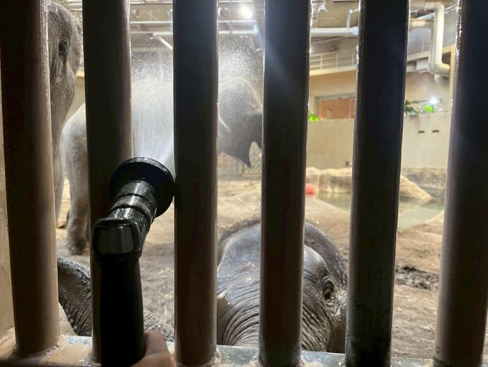 ホースリール使用中