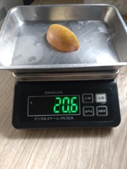キッチンスケールで餌の重さを図っている様子