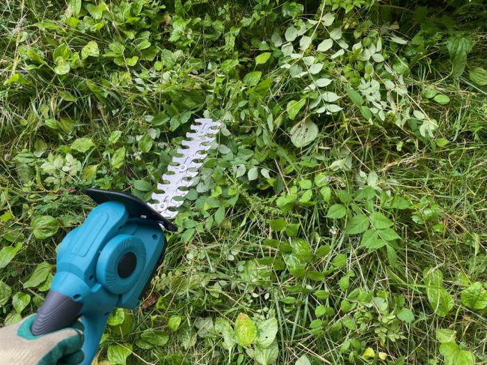 ご寄付いただいた草刈り機で草を刈る様子