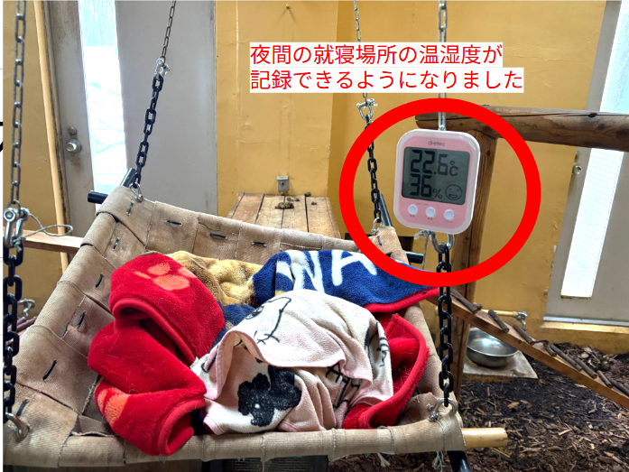 アカハナグマ温湿度計