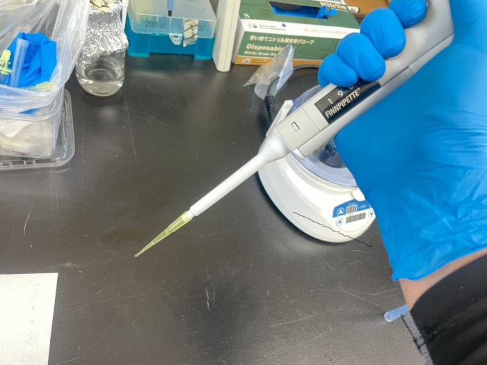 ご寄付いただいたピペットを使用する様子