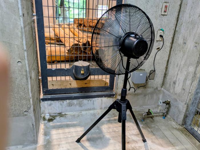 大型扇風機