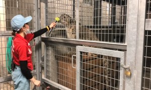 体重測定の様子