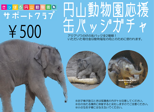 円山動物園応援缶バッジガチャを設置しています