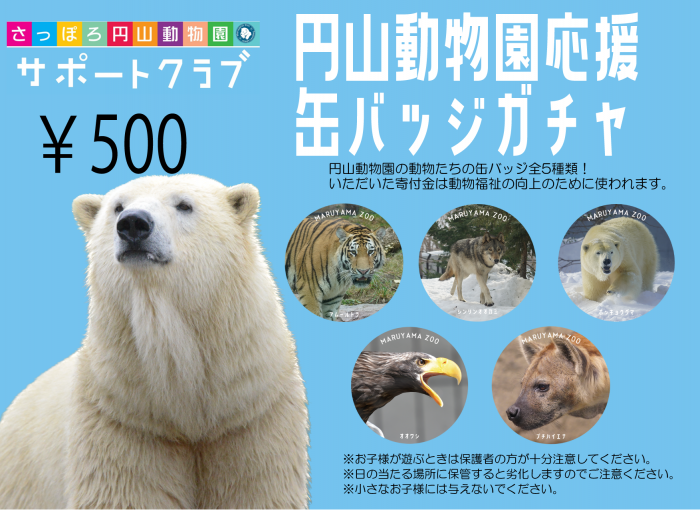 円山動物園応援缶バッジガチャを設置しています