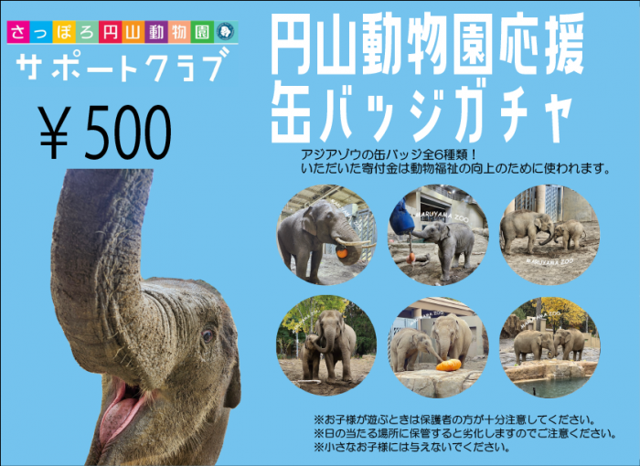 ゾウガチャ
