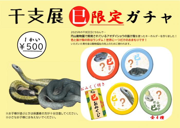 干支展