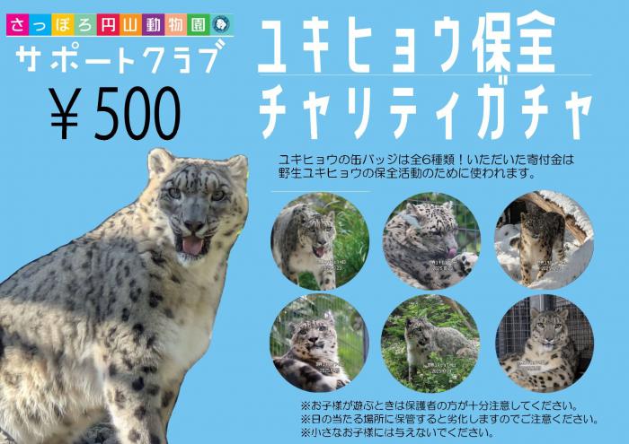 2025世界ユキヒョウの日