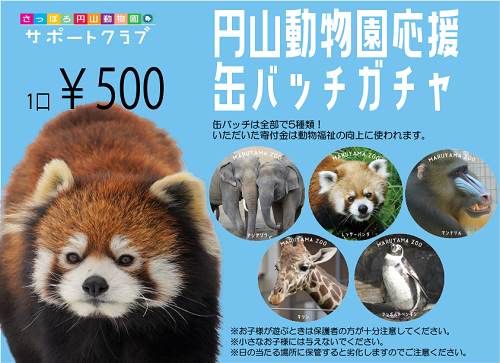 円山動物園応援缶バッジガチャを設置しています