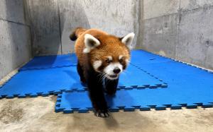 エイタ