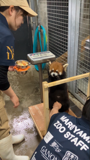 検査の様子