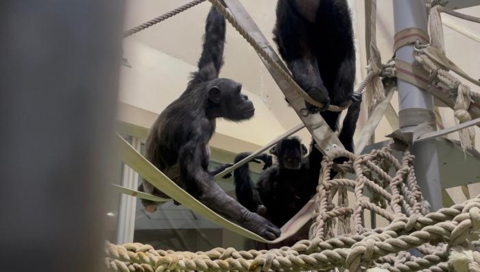 ガチャハルスージー同居