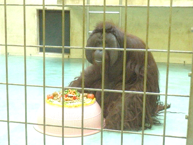 釧路市動物園のていじろう