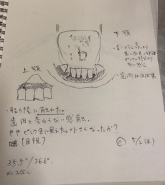 ハズバンダリートレーニングの記録2