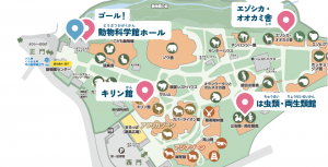 R6zooボラ地図