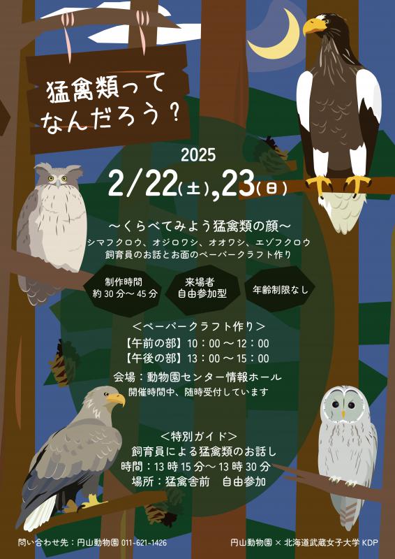 猛禽類ワークショップポスター